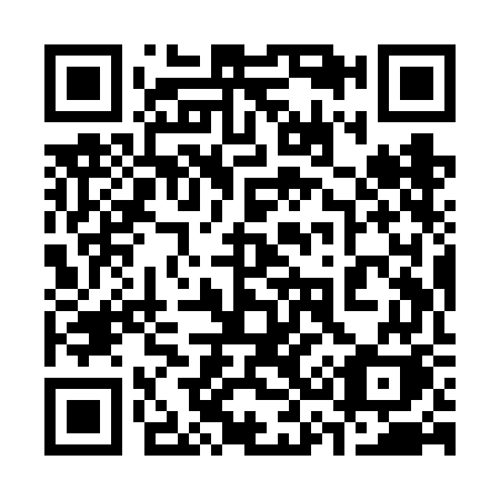 QR code for plate 339-VGK