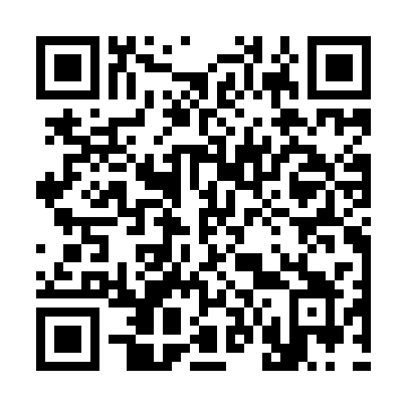 QR code for plate 363-ICY
