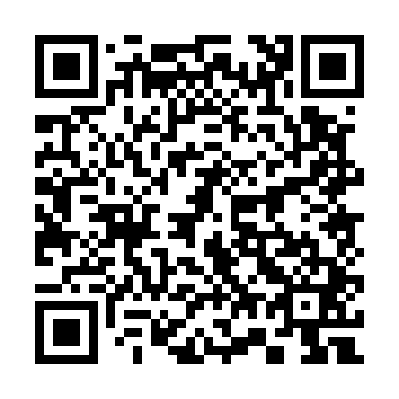 QR code for 370541
