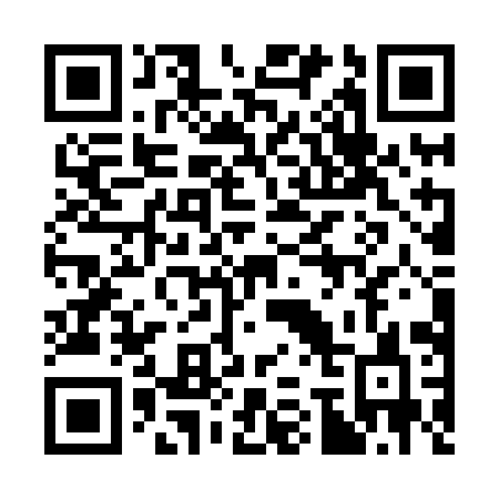 QR code for 376-XIC