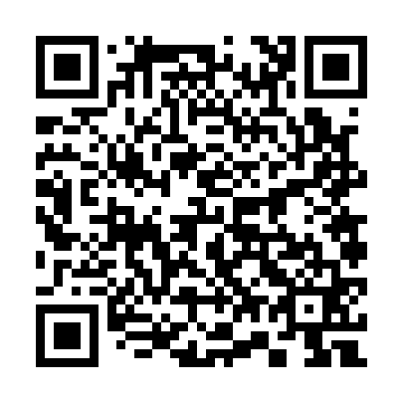 QR code for 376161