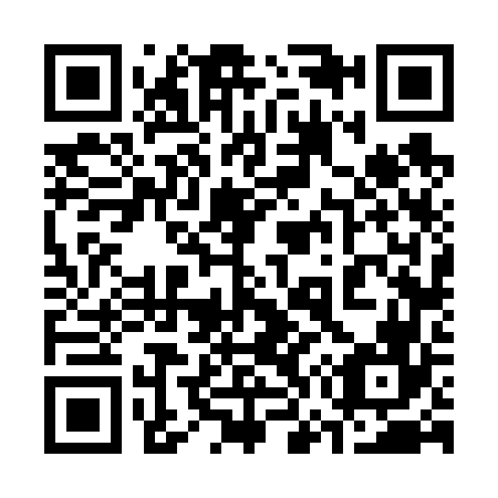 QR code for 376666
