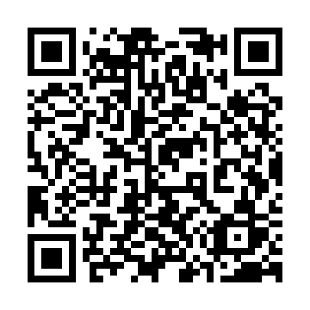 QR code for plate 377-QSR