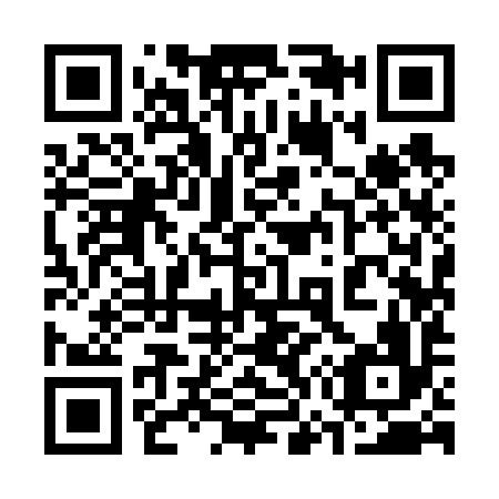 QR code for 379696