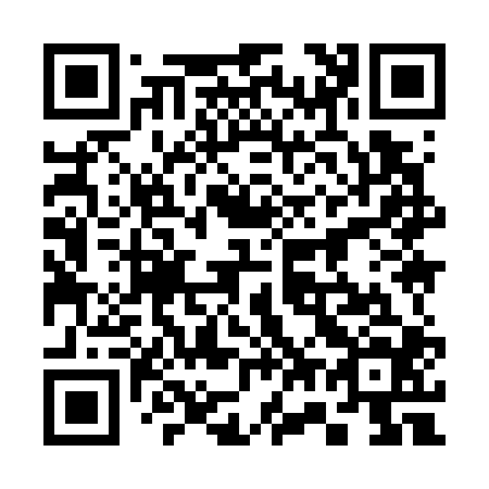 QR code for 379704