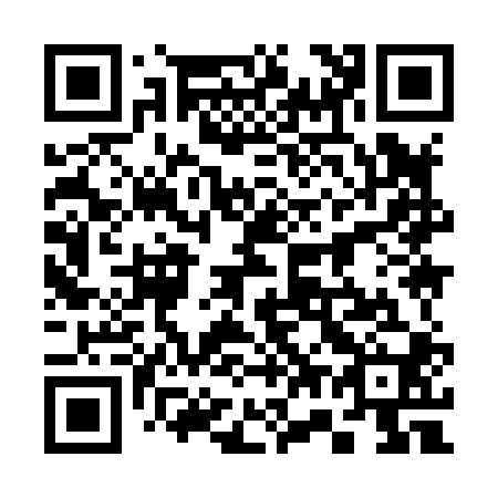 QR code for 379800