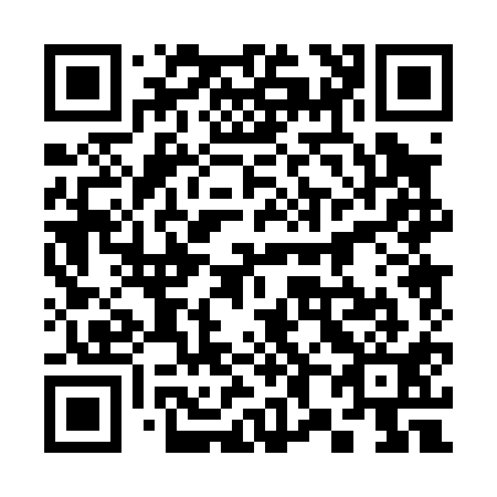 QR code for 380011