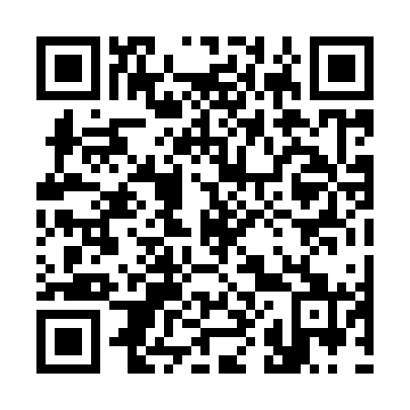 QR code for 380961