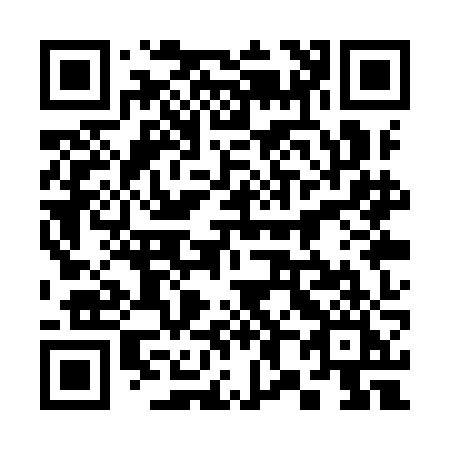 QR code for 381-YJI
