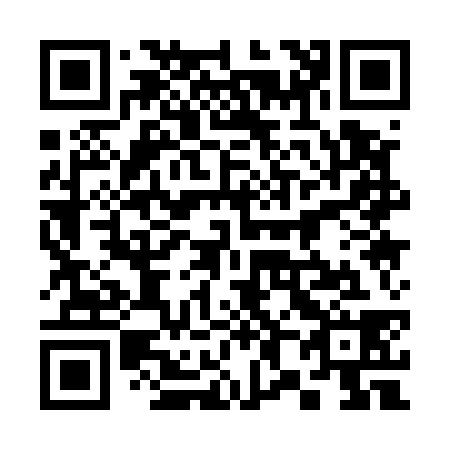 QR code for 381538