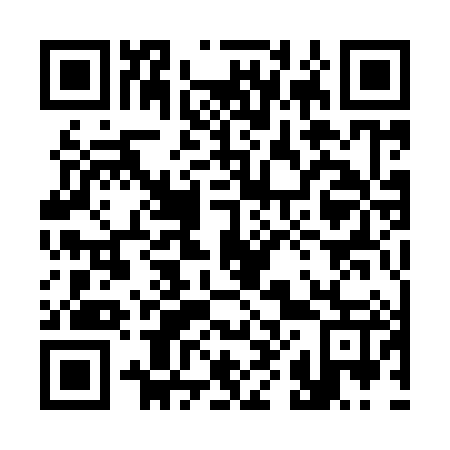 QR code for 381987
