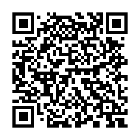 QR code for plate 381-DYB