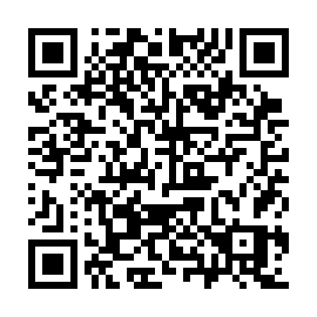 QR code for plate 381-SFS