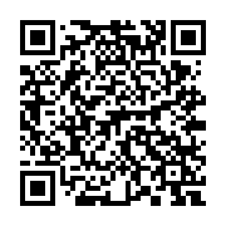 QR code for 381VLK