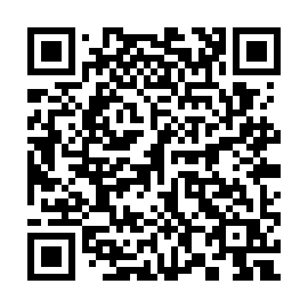 QR code for 381WIR