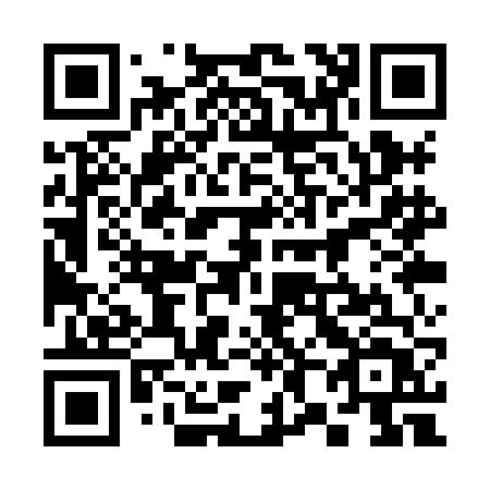 QR code for plate 381-XFT