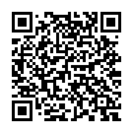 QR code for 382-PRC