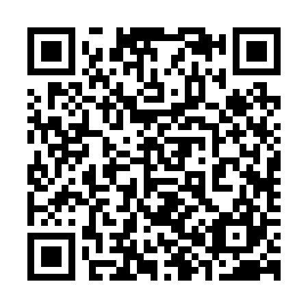 QR code for 382227