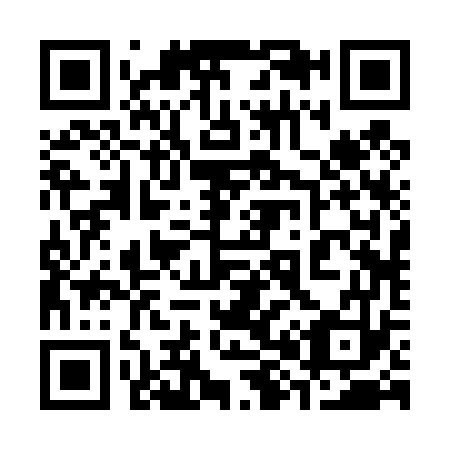 QR code for 382473