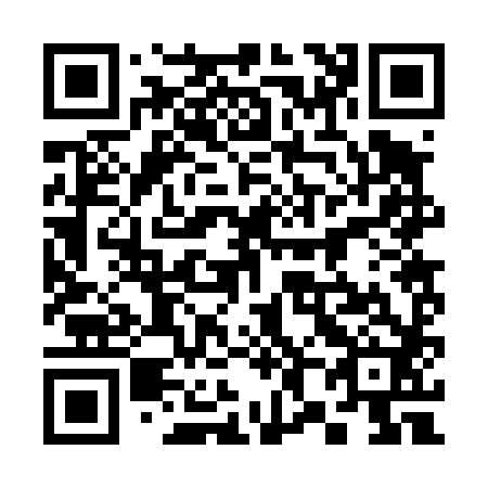 QR code for 382482