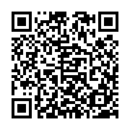 QR code for 382522