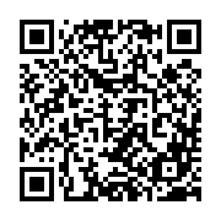 QR code for 382546