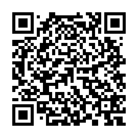 QR code for 382728