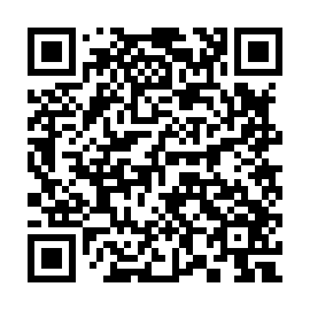 QR code for 382846