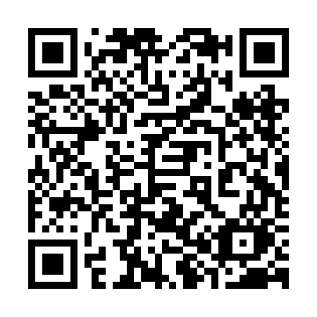 QR code for 382BGO