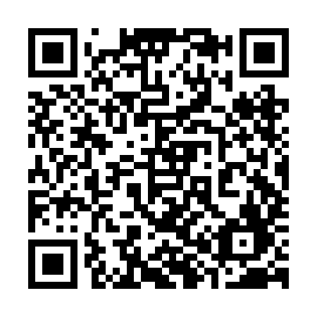 QR code for 382BIF