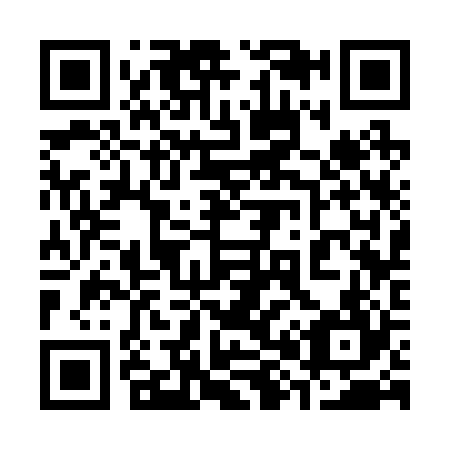 QR code for 383224