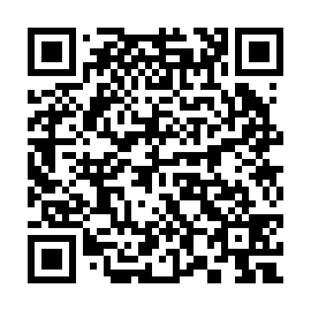 QR code for 383239