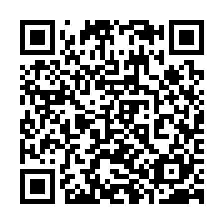 QR code for 383325