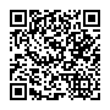 QR code for 383546