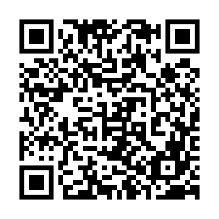 QR code for 383566