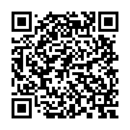 QR code for 383593