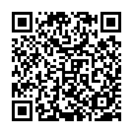 QR code for 383785