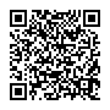 QR code for 383842