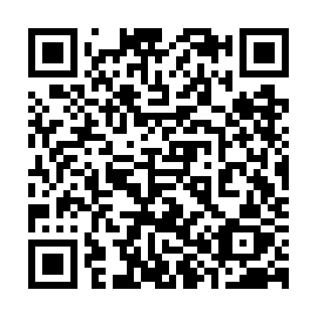 QR code for plate 383-GKZ