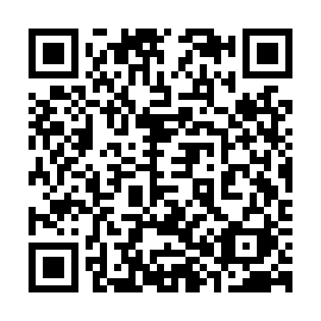 QR code for plate 383-LRI