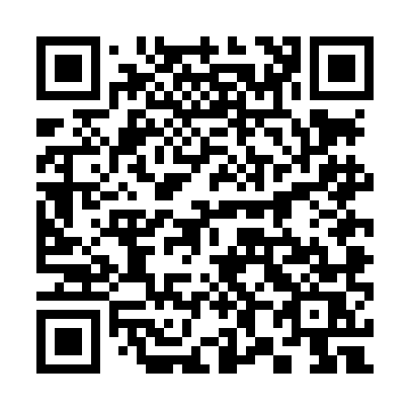 QR code for 384-LMS