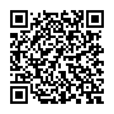 QR code for 384-MGI