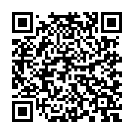 QR code for 384-MLT