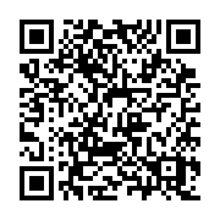 QR code for 384-SKX