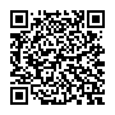 QR code for 384-VDP