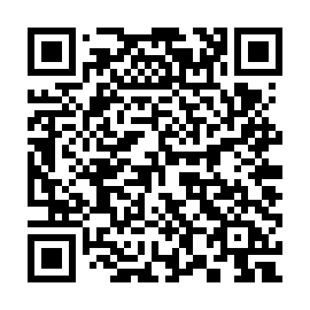 QR code for 384-VTA