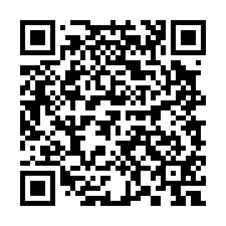 QR code for 384011