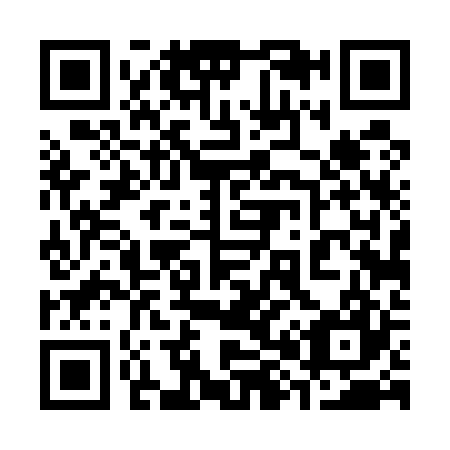 QR code for 384527