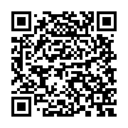 QR code for 384577