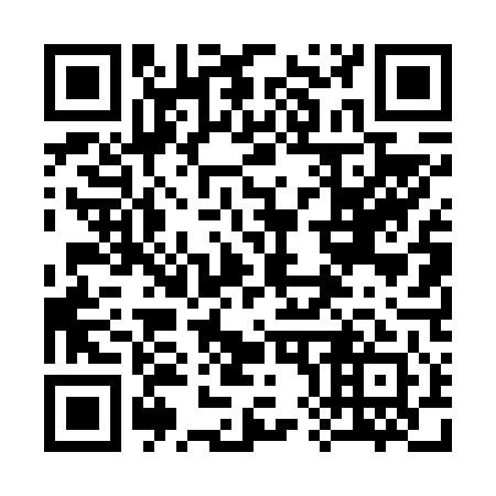 QR code for 384641